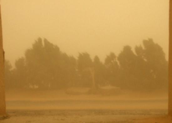 the-sandstorm.jpg