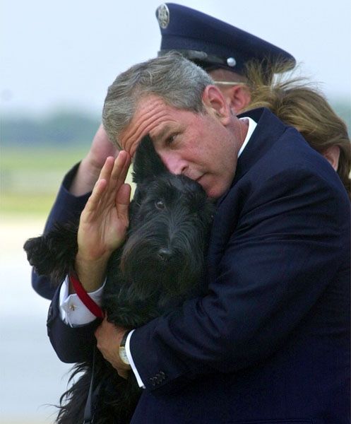 Фотохроника 8-летнего правления 43-го президента США Джорджа Буша-младшего (George W. Bush) (54 фотографии), photo:13