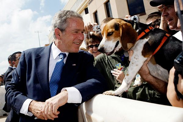 Фотохроника 8-летнего правления 43-го президента США Джорджа Буша-младшего (George W. Bush) (54 фотографии), photo:15