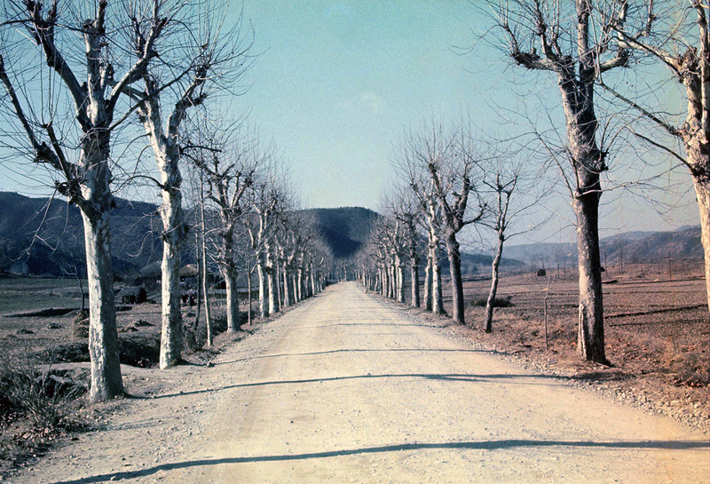 Lonely road Korea 1966.jpg