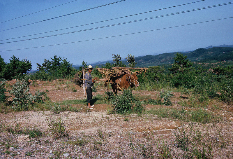 Farmer Korea 1966.jpg