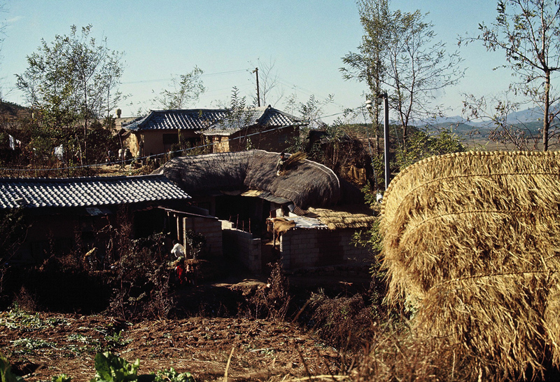 Man patching roof Korea 1966.jpg