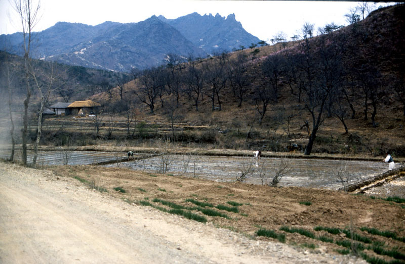 Korea in 1966-8.jpg