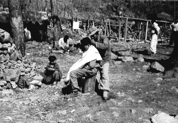 Korea 1950 Haircut (refuge camp).jpg