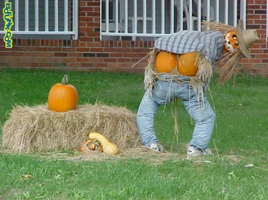funny-scarecrow-01.jpg