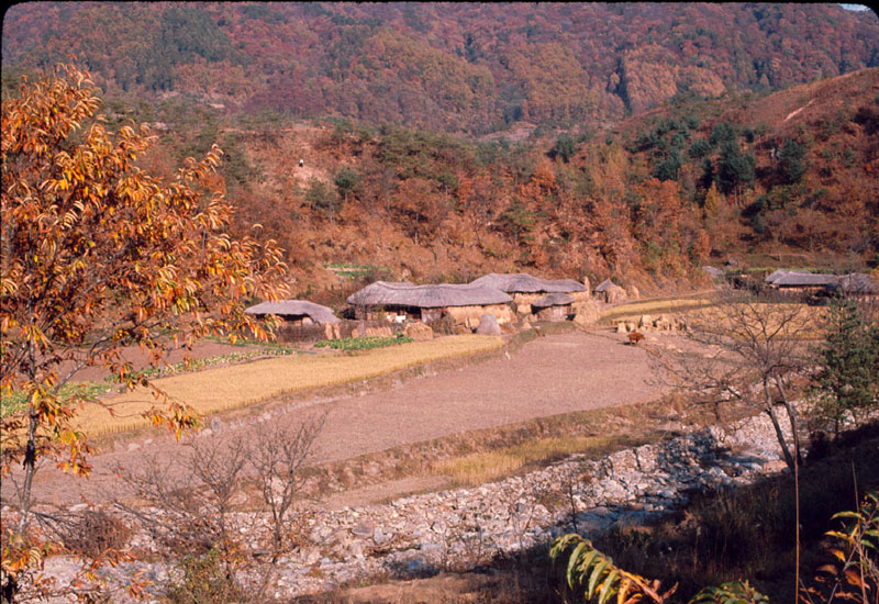 Autumn 1965-2.jpg