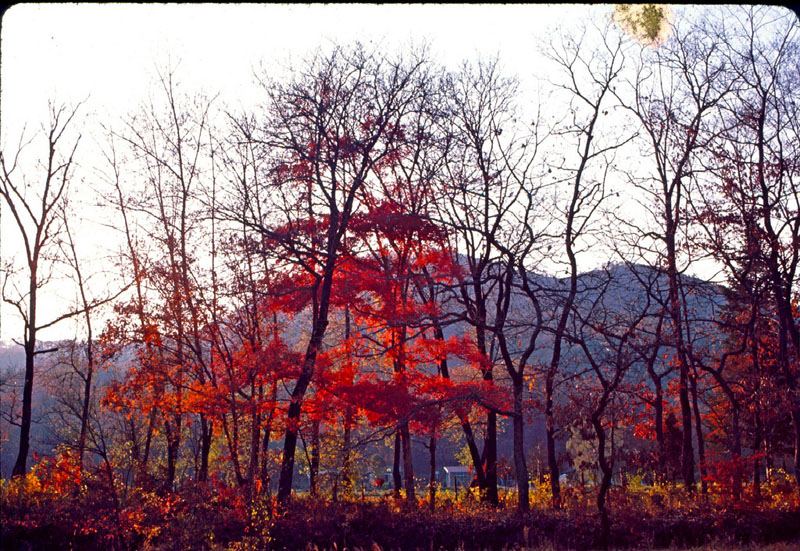 Autumn 1965.jpg