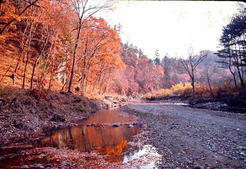 Autumn 1965-1.jpg