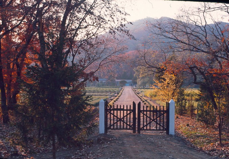 Autumn 1965-5.jpg