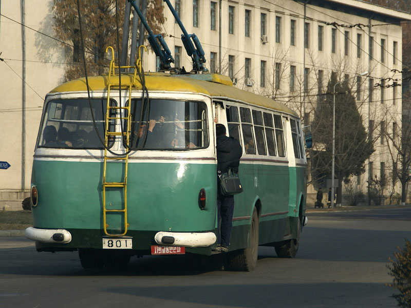 801 trolleybus.jpg