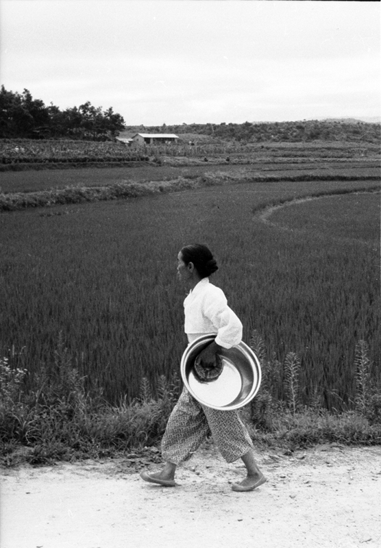 Woman Carrying Brass-Colored Basin, Near Euijeongbu, 1968.jpg