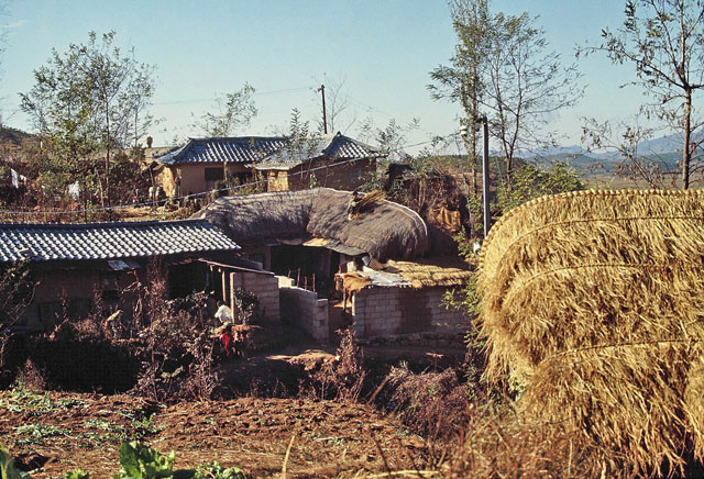 Man patching roof Korea 1966.jpg