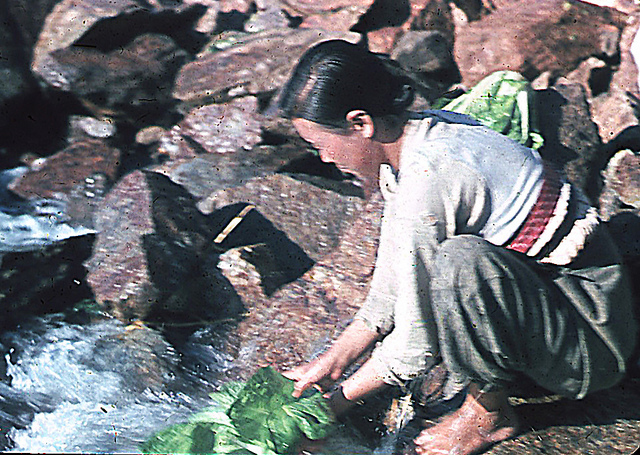 Korean woman washing vegetables.jpg