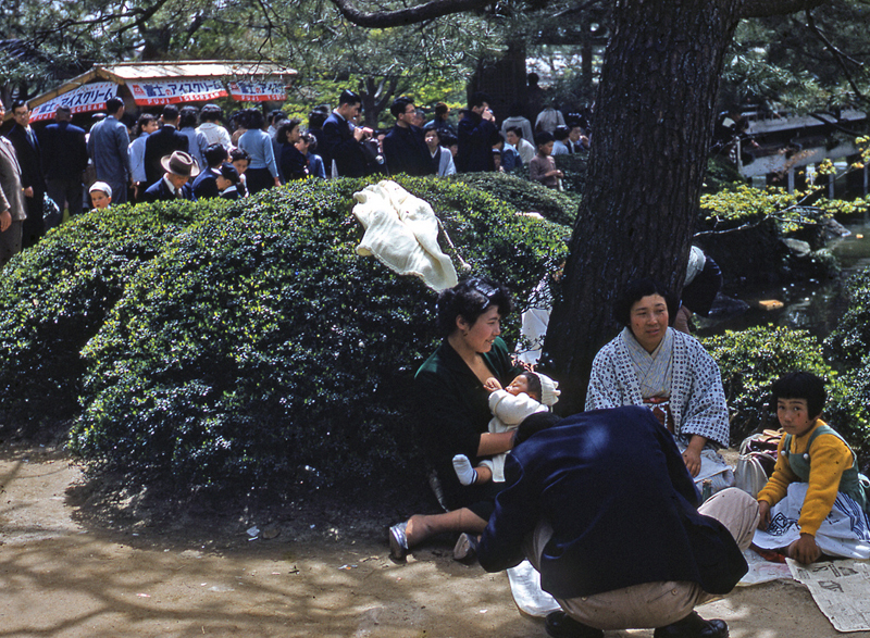 Cherry Blossom Festival Kyoto 1956 a.jpg