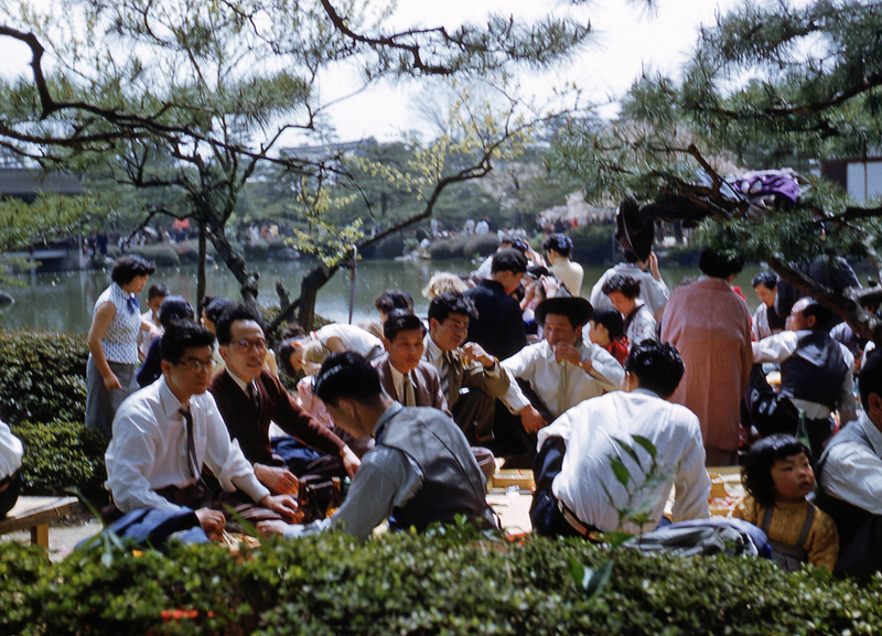 Cherry Blossom Festival Kyoto 1956 d.jpg