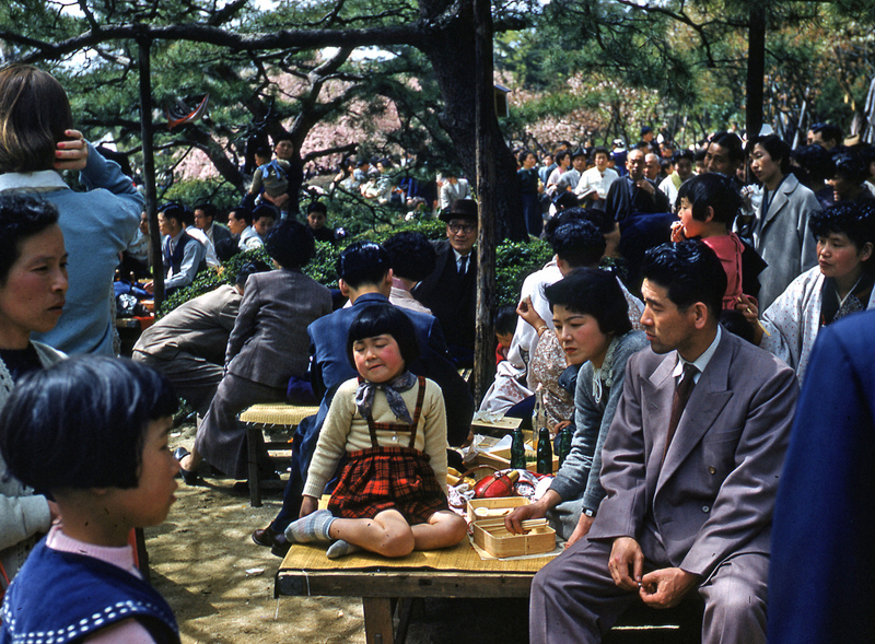 Cherry Blossom Festival Kyoto 1956.jpg