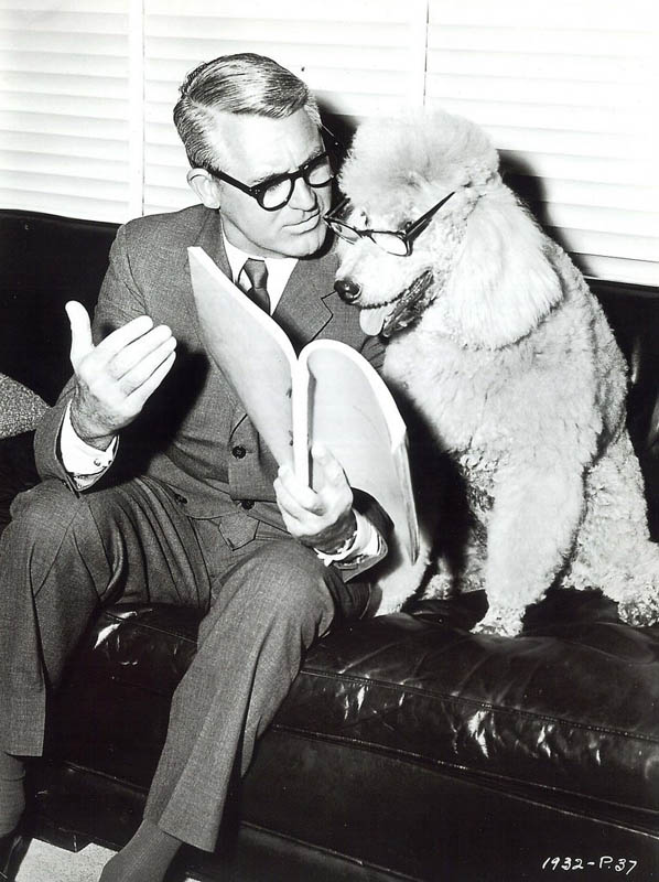 zCary Grant &amp; unknown poodle.jpg