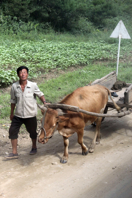 1Ox cart on the road.jpg