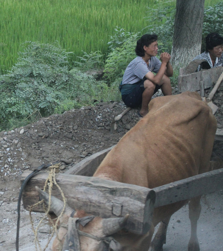 3Ox in South Hamgyong Province.jpg