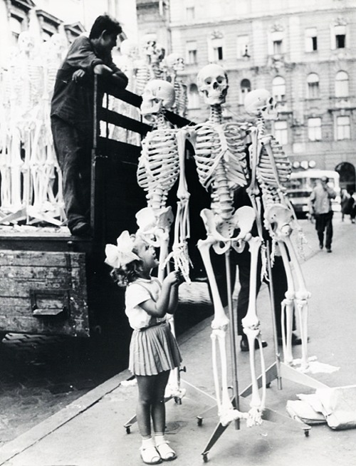 zLittle girl with biology class skeletons in Hungary 1966.jpg