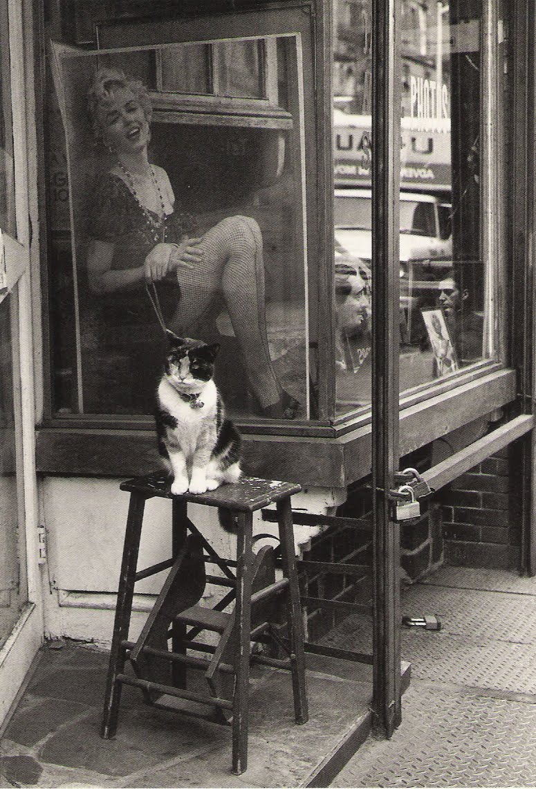 Victor Macarol.Cat &amp; Marylin Thompson Street, New York City. 1988.jpg