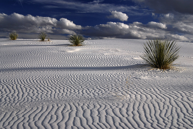White Sands by steve sampson.jpg