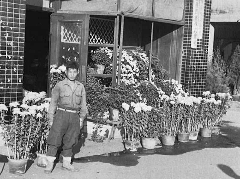 Flower vendor. Seoul, Korea. 1953.jpg
