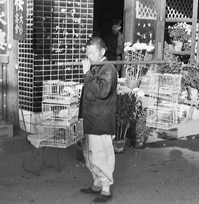 Song bird vendor. Seoul, Korea. 1953.jpg