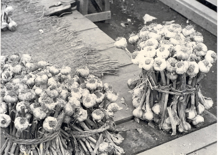 120 Garlic in the Market - Taegu, Korea.jpg