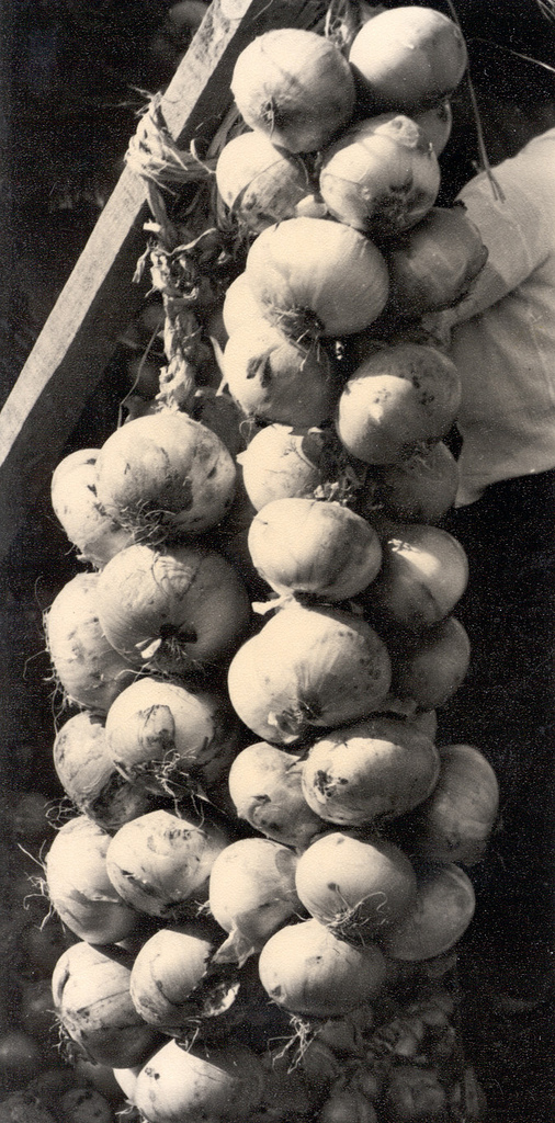 130 Onions in the Market - Taegu, Korea.jpg