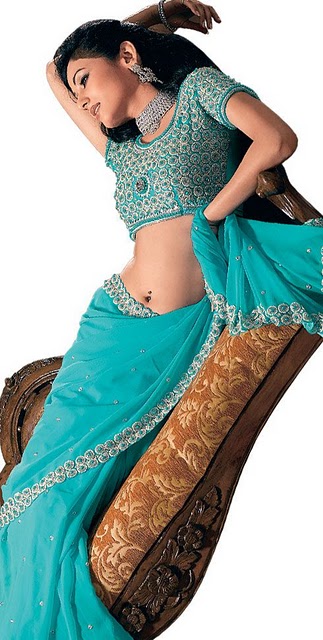 beautiful indian saree dress.jpg
