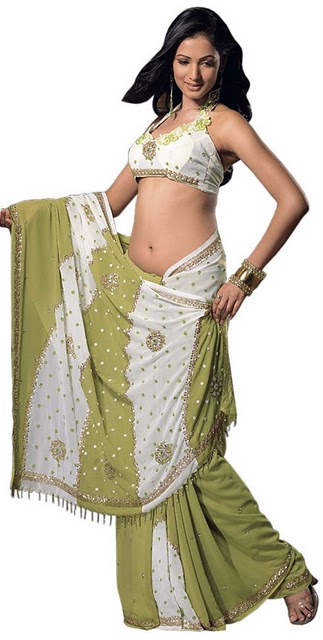 style with indian women saree dress.jpg