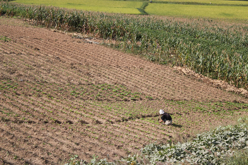 Fieldwork in Rural Nampo-Si North Korea 4.jpg