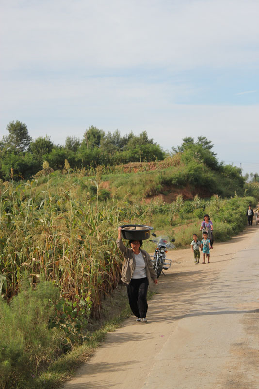 Rural Roadside near Nampo North Korea 15.jpg