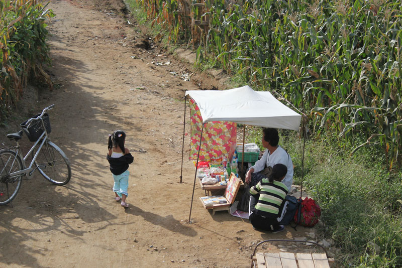 Rural seller near Nampo-Si North Korea 5.jpg