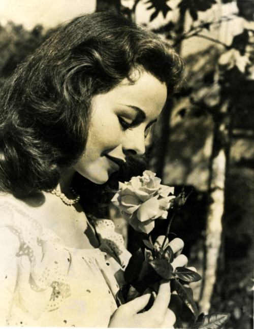 Jeanne Crain, 1940s.jpg