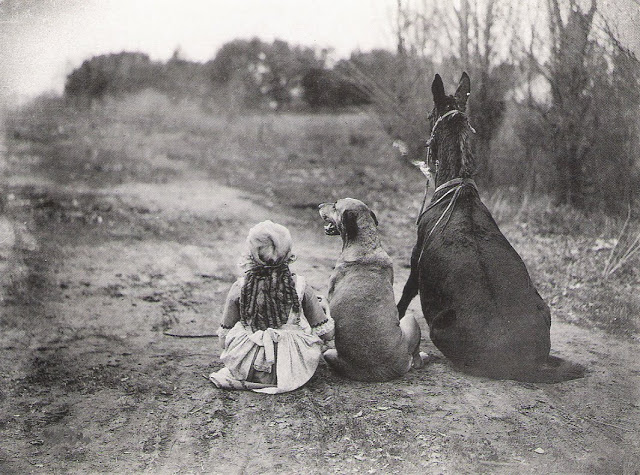 5A Girl, a Dog and a Horse (1921).jpg
