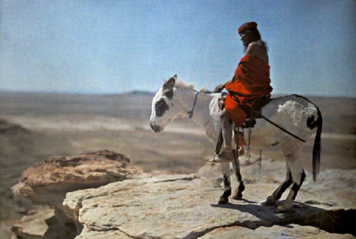 Arizona-A-Hopi-Indian-and-his-burro-stand-at-the-edge-of-a-high-mesa-near-Walapai.jpg