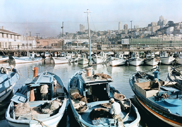 California-Fishing-boats-in-a-San-Francisco-Harbor-with-the-city-as-a-backdrop.jpg