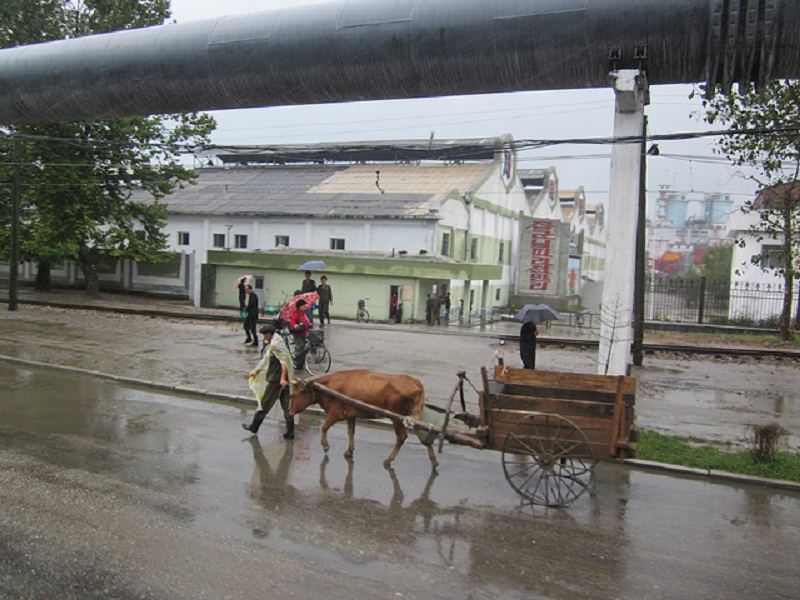 aNorth Korea ox cart near factory.jpg
