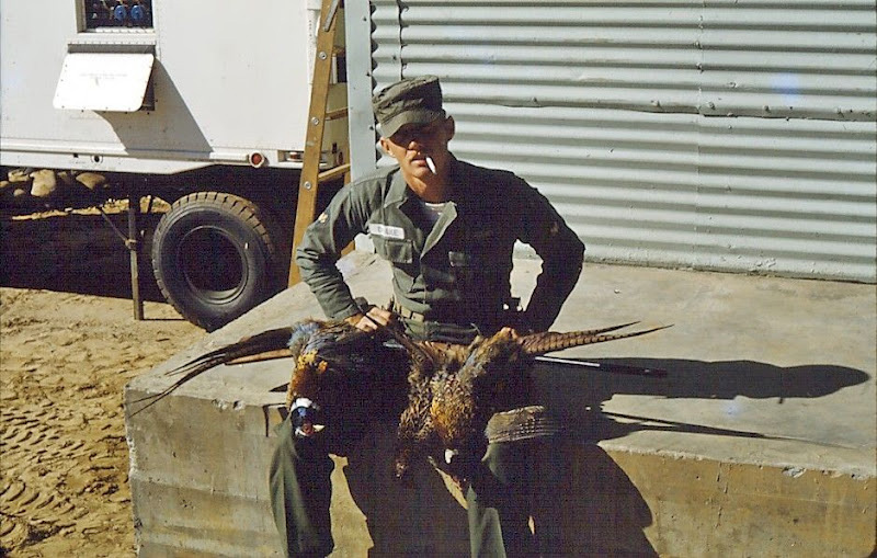161_-_Taken_at_our_shop_with_my_1st_pheasants.jpg