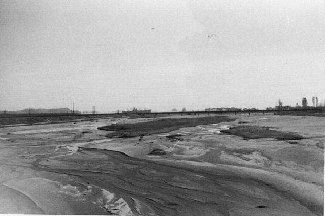 11. Tidal Flats at Wonson.jpg