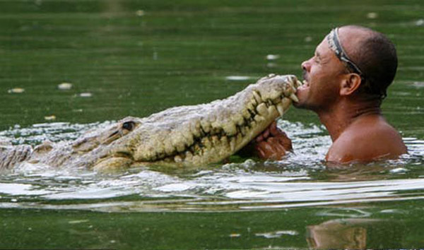 krokodil-0005.jpg