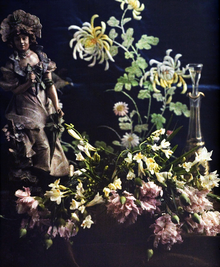 Flowers-11.jpg