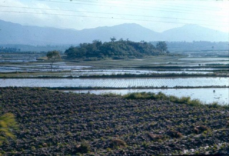 19a rice paddies.jpg