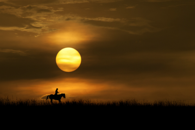 Sunset-Silhouettes-01-634x422.png