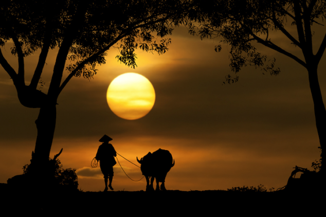 Sunset-Silhouettes-03-634x422.png