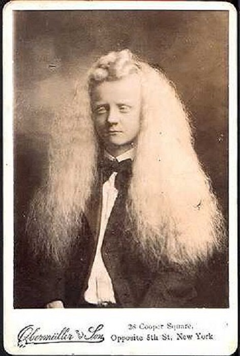 Hair 1860s.jpg