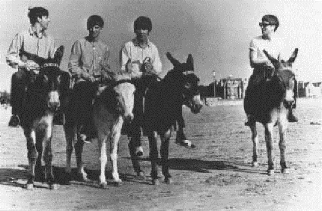 The Beatles on Donkeys, 1963 (4).jpg