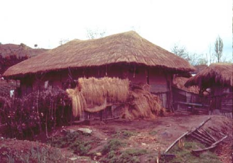 32Thatched_Roof.jpg